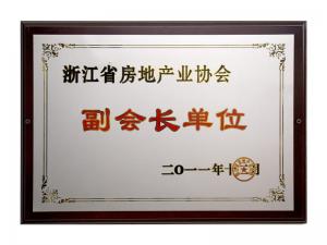 省房地產(chǎn)協(xié)會(huì)副會(huì)長單位