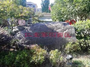 守護(hù)綠水青山！公司以“奔跑的姿態(tài)”加速推進(jìn)“污水零直排”建設(shè)任務(wù)